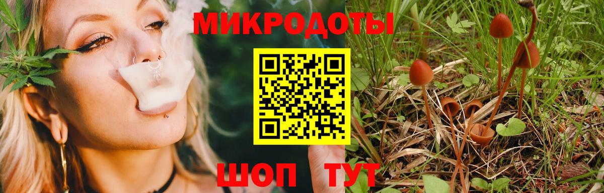 Георгиевск  купить   Вход с VPN  Псилоцибиновые грибы прущие грибы 